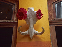 Swakopmund [ 54 images ]